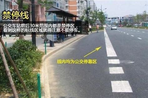 馬路旁|5分鐘讀懂20種道路交通標誌線